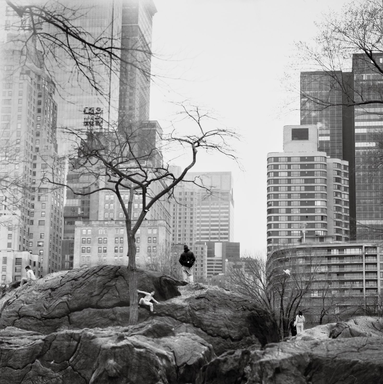TF.2026.020 film photograph